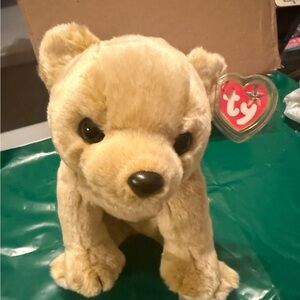 Ty Beanie Buddy - ALMOND the Bear
(10 Inch) Plush Stuffed Animal Like New!